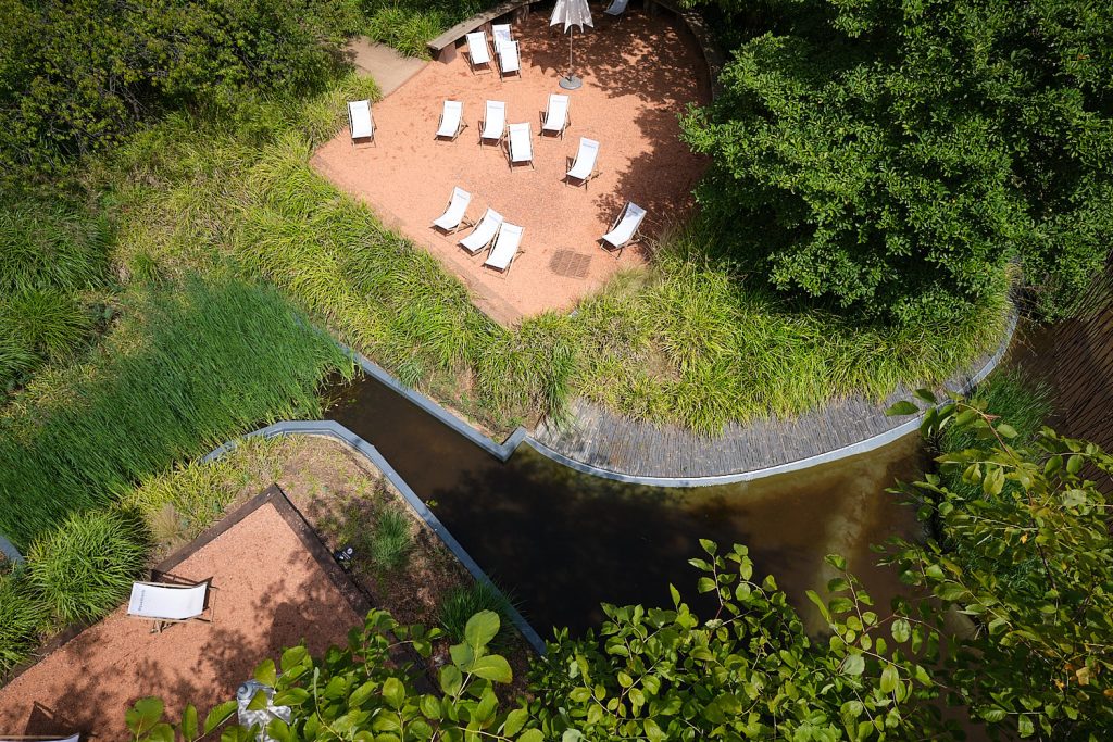 Photographie d'architecture dans les jardins du Musée du Quai Branly