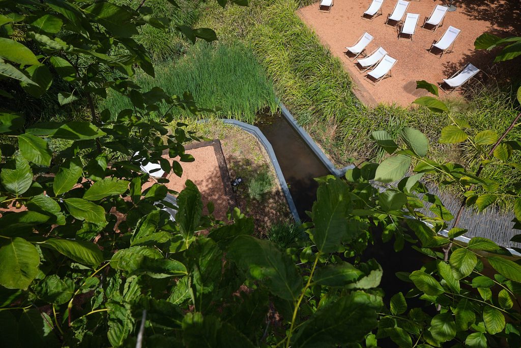 Photographie d'architecture dans les jardins du Musée du Quai Branly